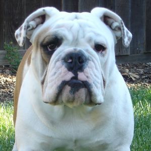 Meet your Posher, Phil